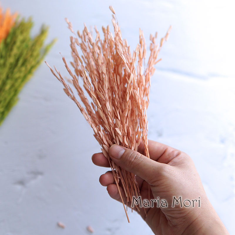 Candle Making Los Angeles - 5g/Broomcorn Dyed Dried Nature Flowers Bleached