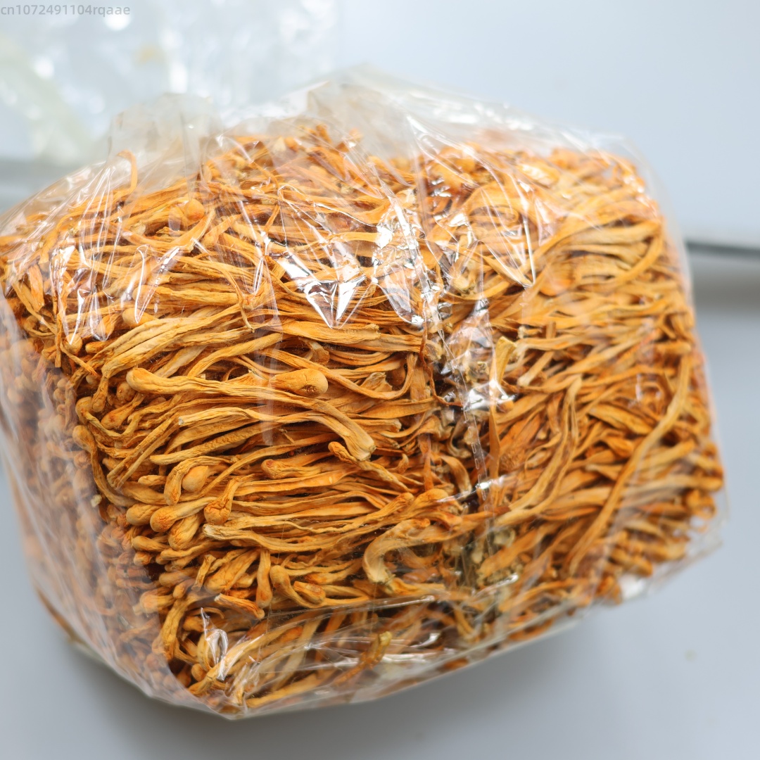 Candle Making Los Angeles - 250g/500g Premium Natural Dried Cordyceps Flower