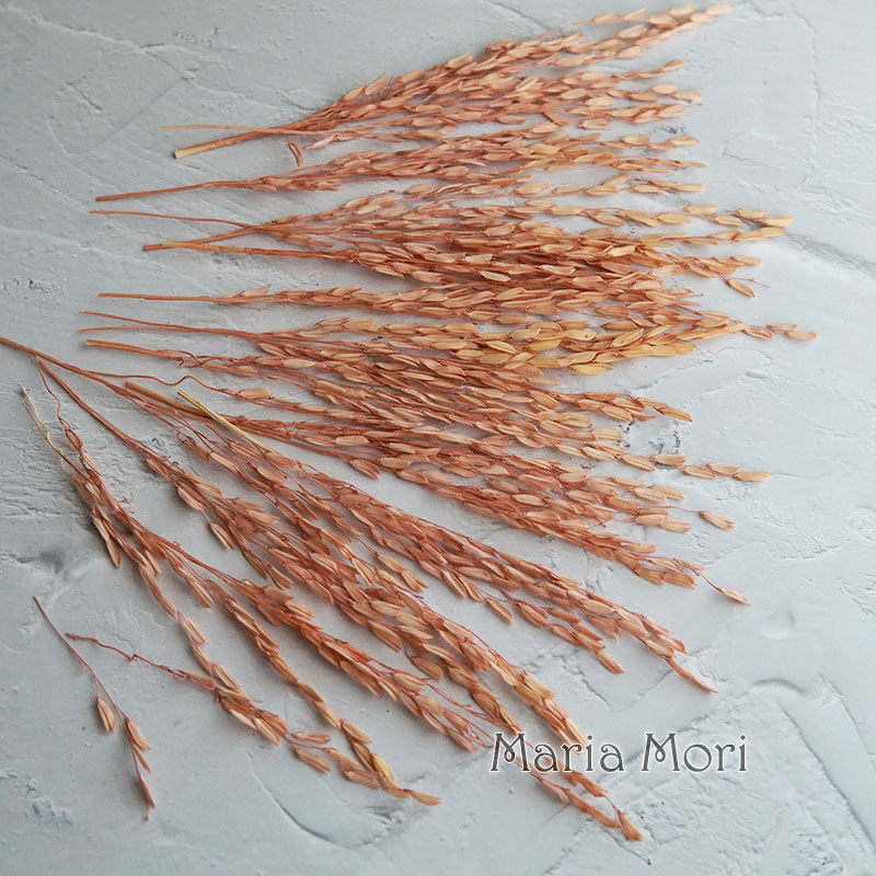 5g/Broomcorn Dyed Dried Nature - Candle Making Los Angeles reseña y precio