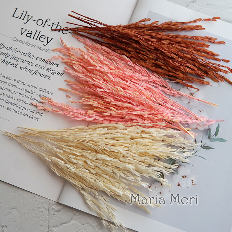 5g/Broomcorn Dyed Dried Nature - Candle Making Los Angeles reseña y precio