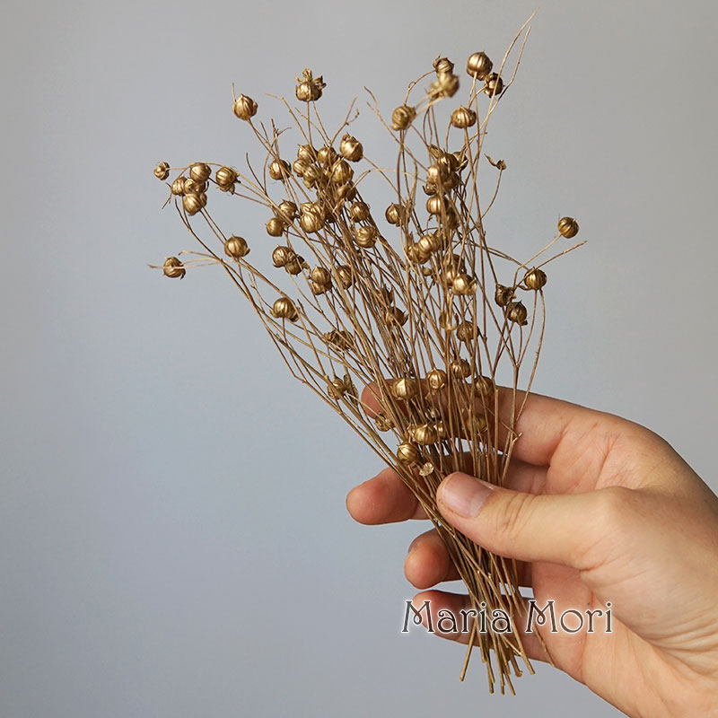 5g Preserved Flax Bean Natural - Candle Making Los Angeles reseña y precio