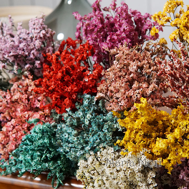 5g/ Colorful Dired Preserved C - Candle Making Los Angeles reseña y precio