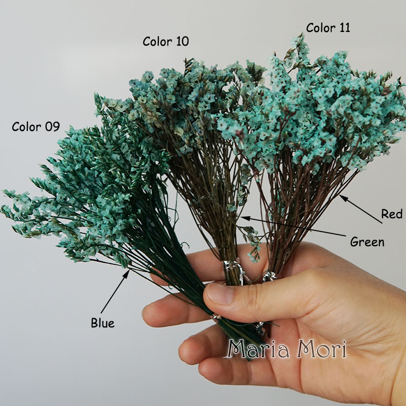 5g/ Colorful Dired Preserved C - Candle Making Los Angeles reseña y precio